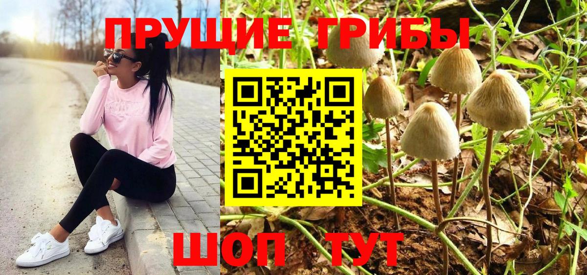 Армавир  Галлюциногенные грибы мицелий  даркнет сайт  Вход с VPN 