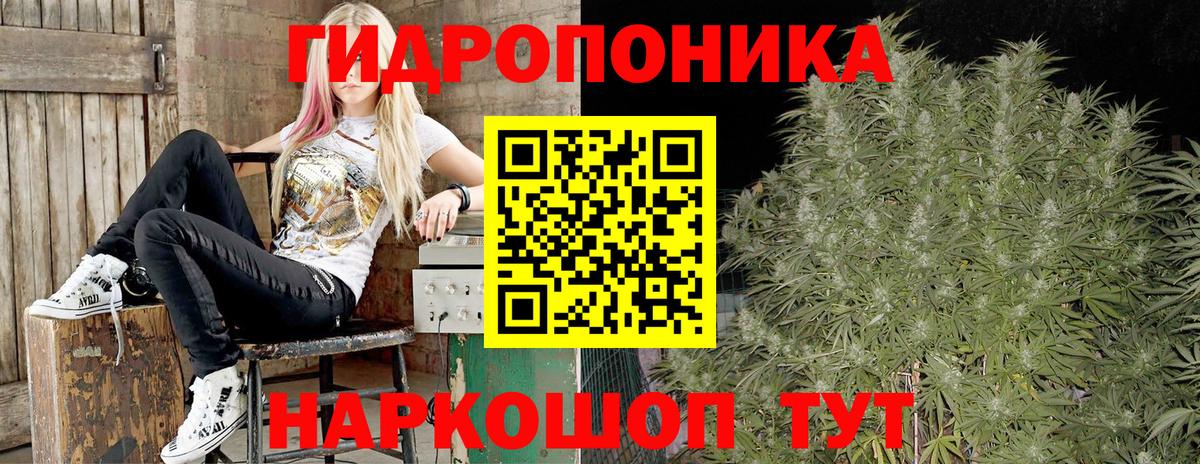Армавир  Бошки Шишки Ganja  Марихуана марихуана  Каннабис планчик  Вход с VPN  Канабис сатива 